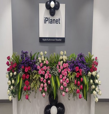 WhatsApp Image 2025-03-10 at 12.57.00 PM (1)